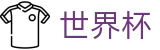 国际足联世界杯官方指定平台 · 一站式体育赛事覆盖